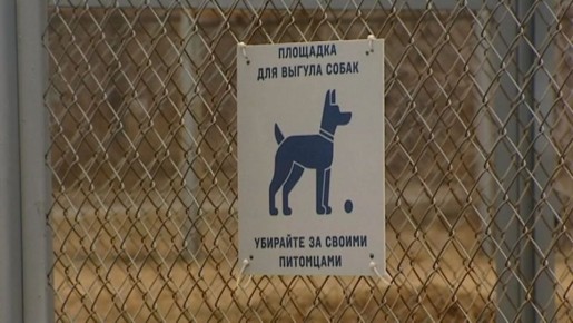 70 ������� �� ������������ ������ �� ���������� �������� �������� � ����������� � ������ ����