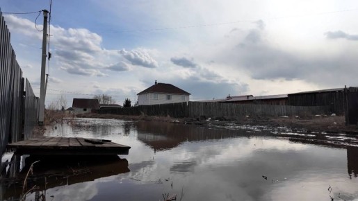 ����� ���� ������� ���������� ������ �������