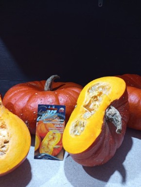 Тыква Пабло: идеальное сочетание вкуса и урожайности