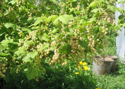 ��� ��������� ���������� ������ ��������� ��� �������� ������