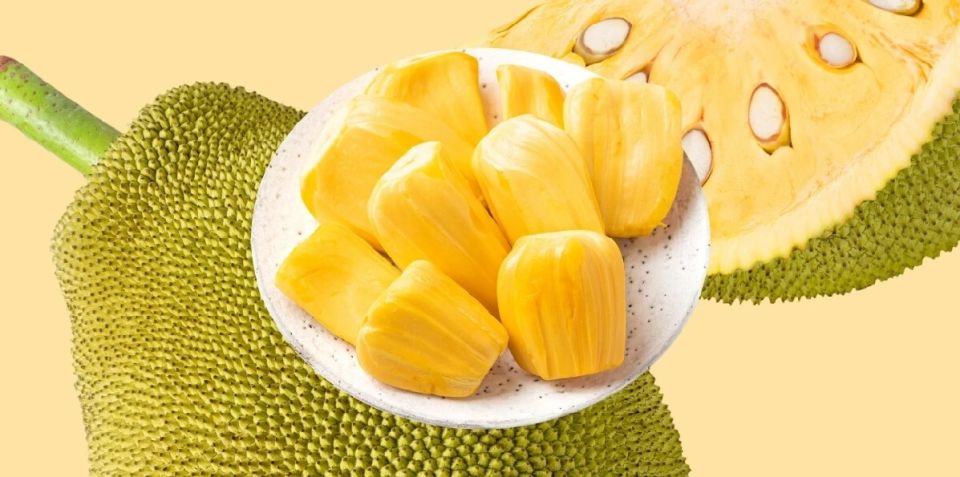 10 ����� ���������� ������� 2025 ����