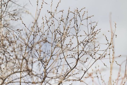 ������ ����!. ������� ����� ������� �������: ���� ������� ��������, ������� ������� �����