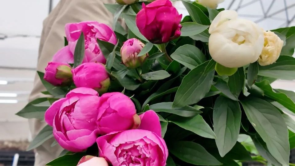 ������ � ������ ����� ������ ������ ��� ����� � ������� ��������� �������� ������� � ��������