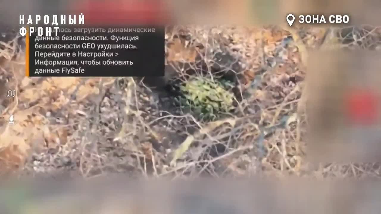 Наши парни видят небо насквозь