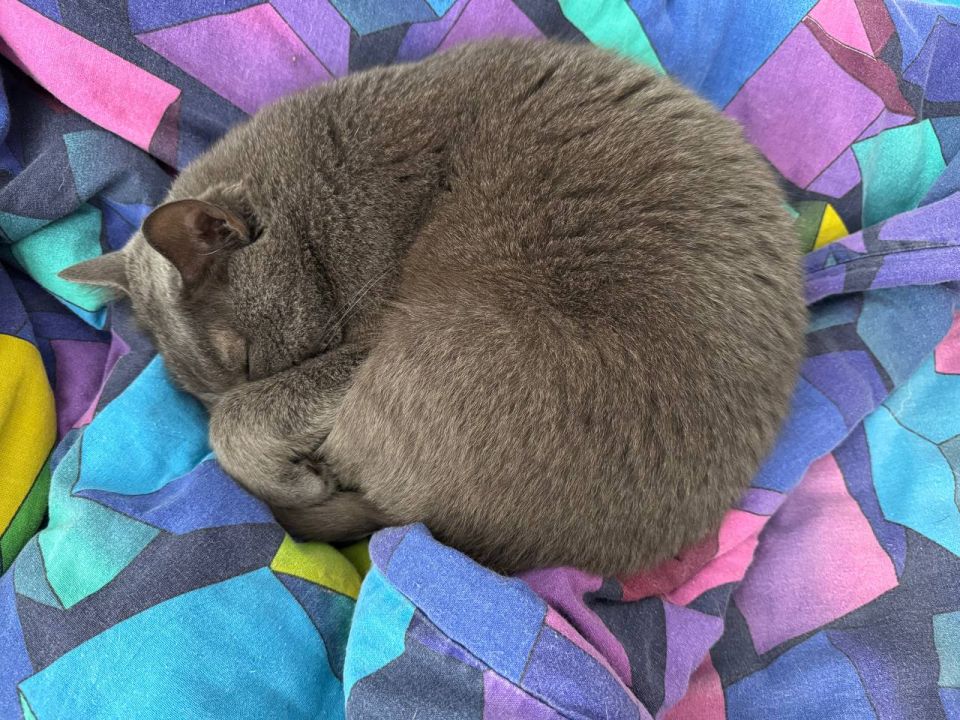 ������ ����, ����������!. 7 ������ � ��� ���������, ������� ��������� �����