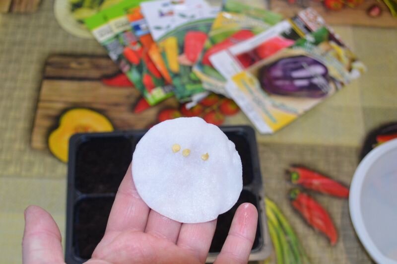 Как подготовить семена перца для успешного посева: секреты от экспертов