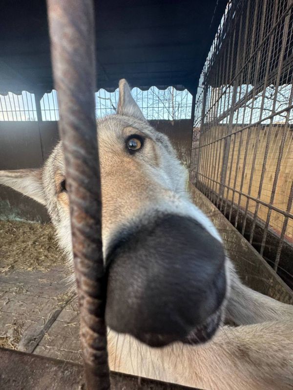 ������ ����, ��������� �������!