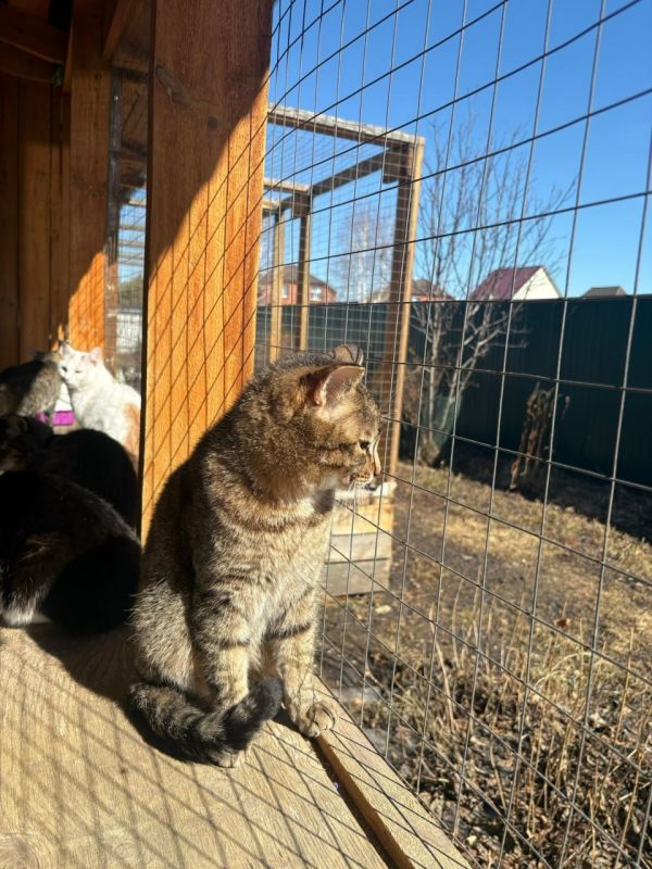 �����������, ������ � ���������, ��������� � ������� ������������ ��� � ����������