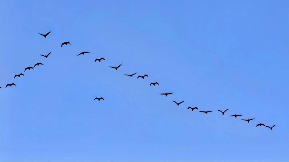 �����!!!. ����: ��������� �������