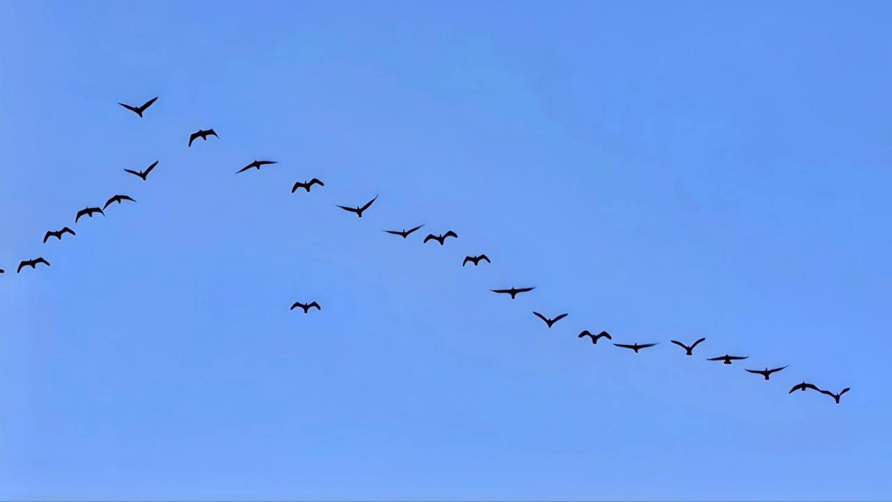 Весна!!!. Фото: Иркутский зоопарк