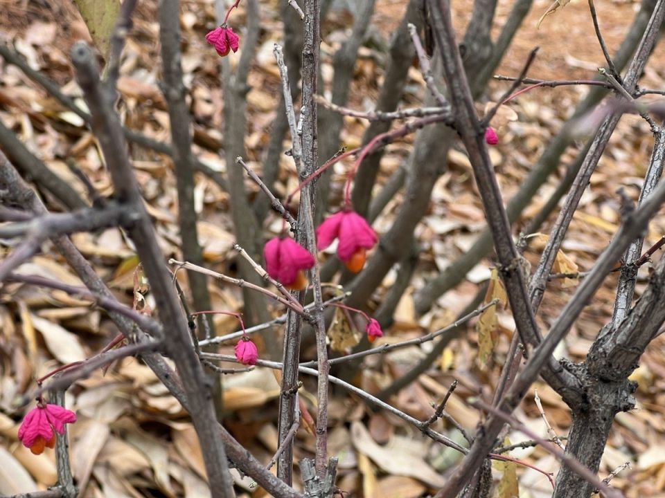 ������ �������� ������� ��������� ��������