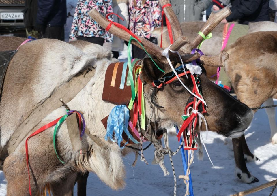 ��� ��� �� ������ �� �����