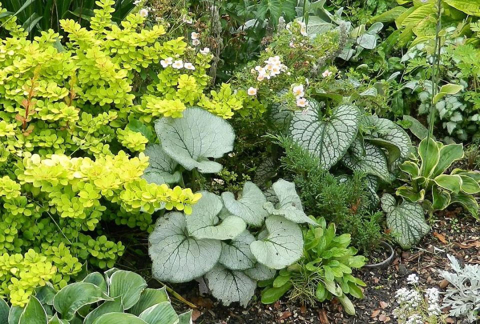 ������� � ��������� ��������: ��� �������� ��� ��� ����� ������������� ����������