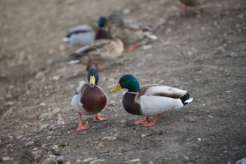 �� ����� � ������ ���� ��� ������ ��������� �����