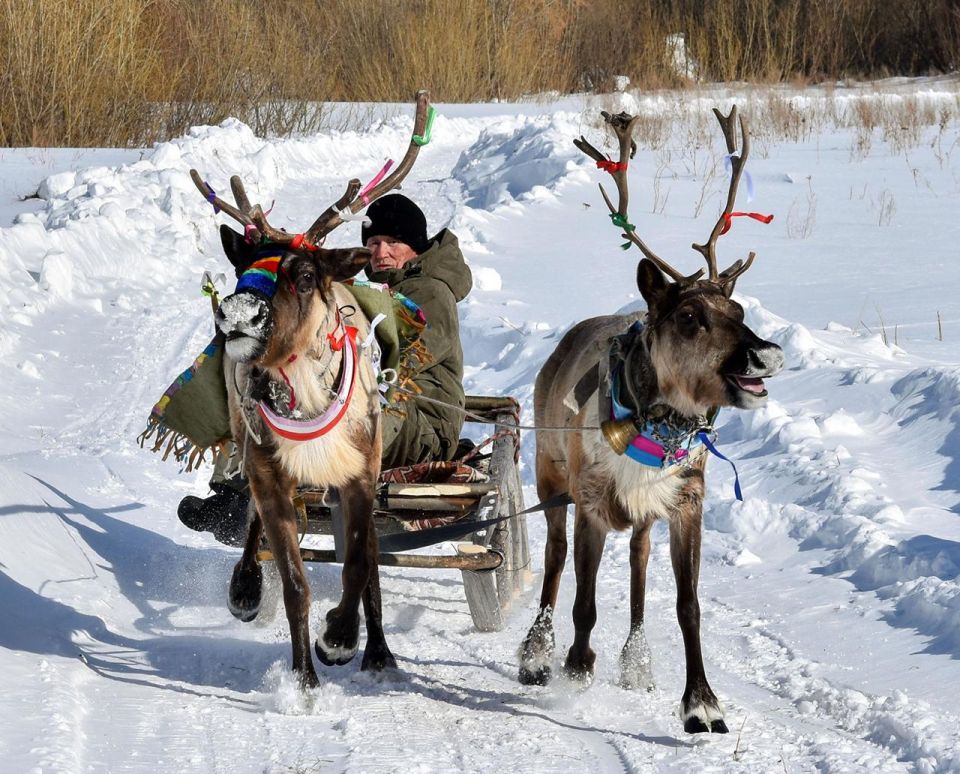 ��� ��� �� ������ �� �����