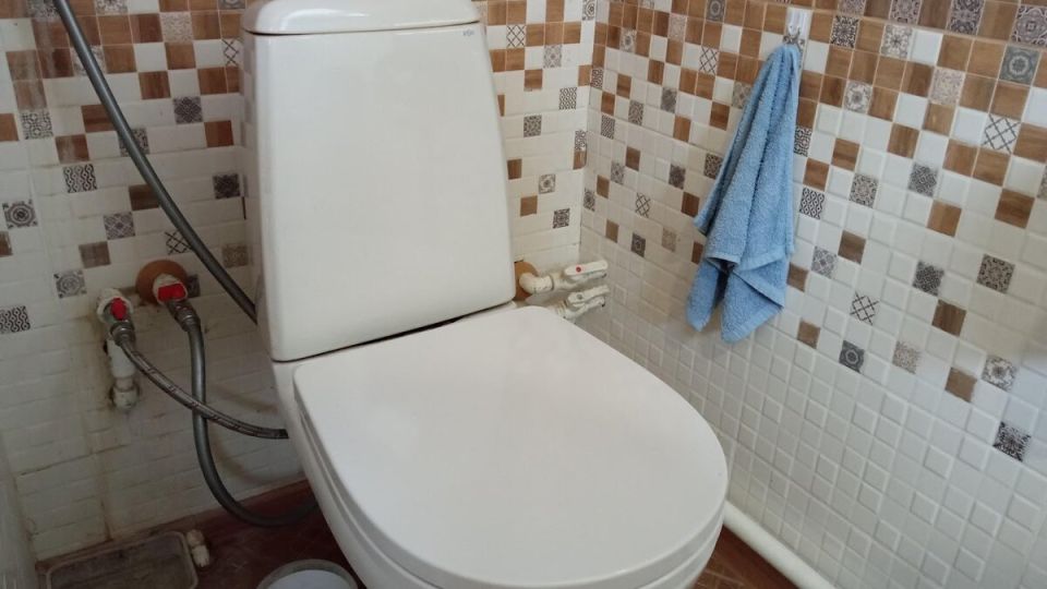 ����������� ������ �� ������ �������: ��� �������� ���������� �� ����� � ������