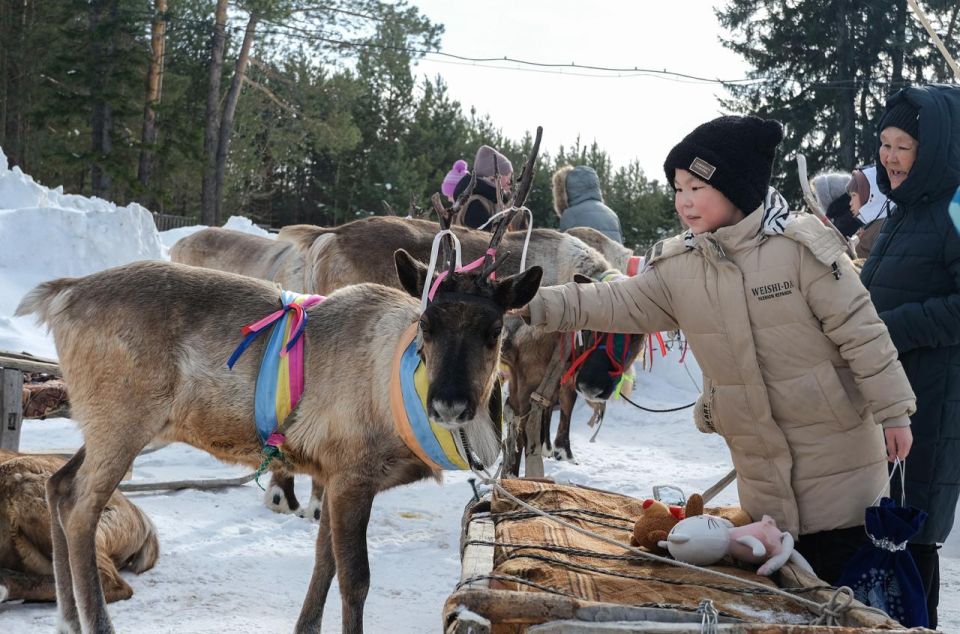 ��� ��� �� ������ �� �����