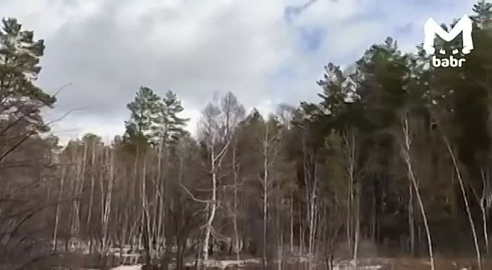 ���� ��������� �� ���� ����� ������� � ����������