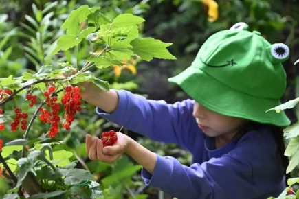 ����-�������� ����� ������� ����������, ��� ��������� ������� ����� �� ������� ��� � ������� �������� ��������