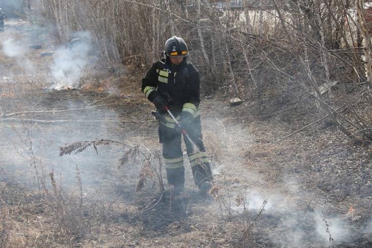 В Иркутске проведут плановые отжиги прошлогодней растительности