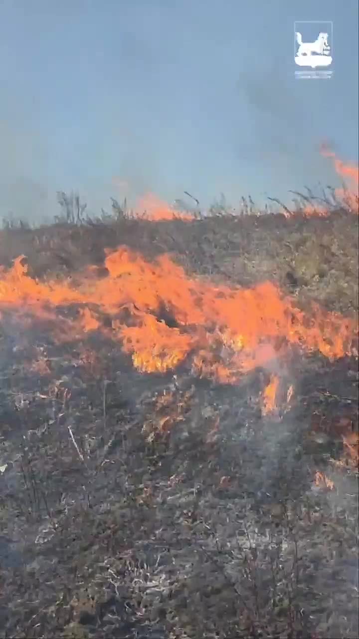 Небольшой контролируемый огонь весной убирает сухостой и не даёт большому пожару разгуляться летом