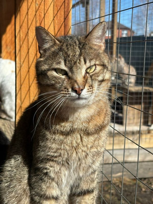 �����������, ������ � ���������, ��������� � ������� ������������ ��� � ����������