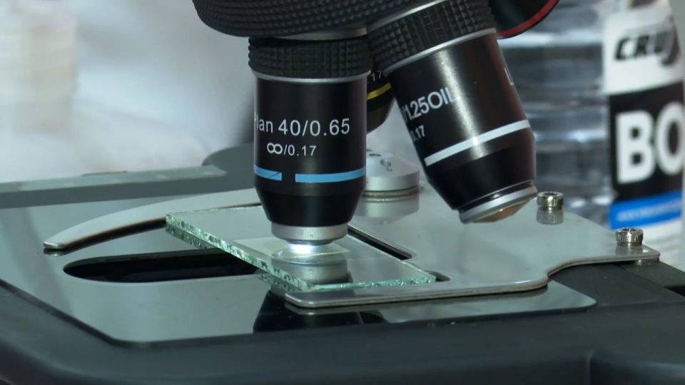 �� 90% ������ �� ���������� ������ ������������ �������� ������������ � ��������� �������