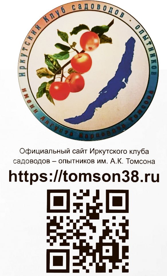 Иркутские садоводы выращивают виноград много лет и уже не просто добиваются высоких урожаев, но и активно делятся своими знаниями и опытом по разведению устойчивых к сибирским морозам сортов Иркутские садоводы выращивают виноград много лет и уже не просто добиваются высоких урожаев, но и активно делятся своими знаниями и опытом по разведению устойчивых к сибирским морозам сортов