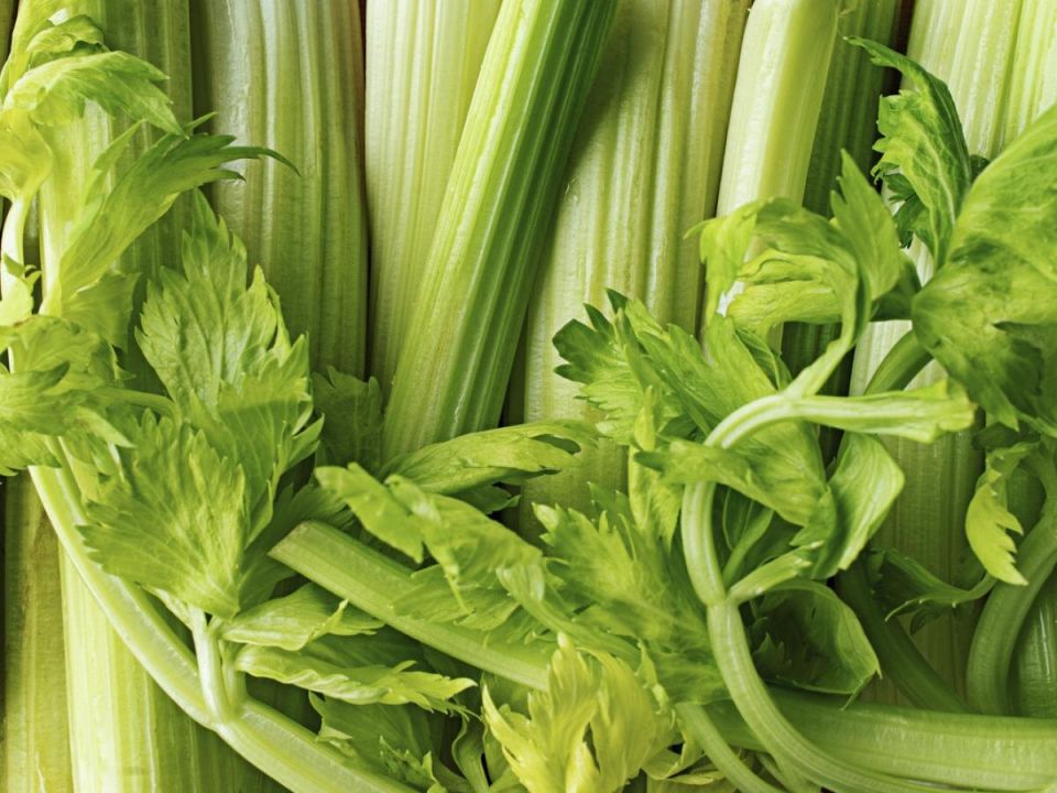 ������ ������ ��� ����������� ���������: ��� ����� ����� ��������