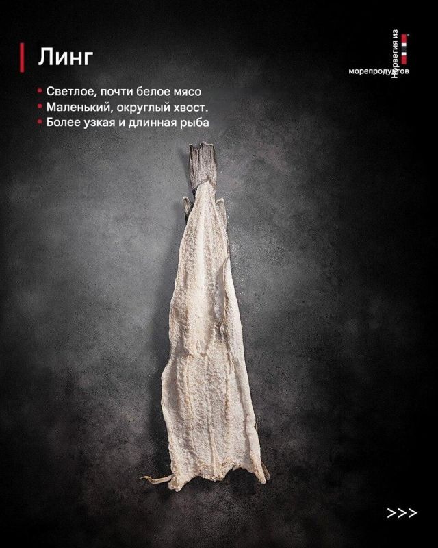 ��� ��������� ���������� ����: ������ ������� ���� � ���������