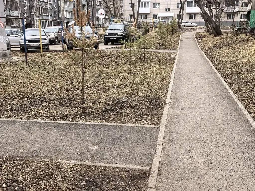 В Октябрьском округе Иркутска проверяют качество ремонта дворов прошлого года В Октябрьском округе Иркутска проверяют качество ремонта дворов прошлого года