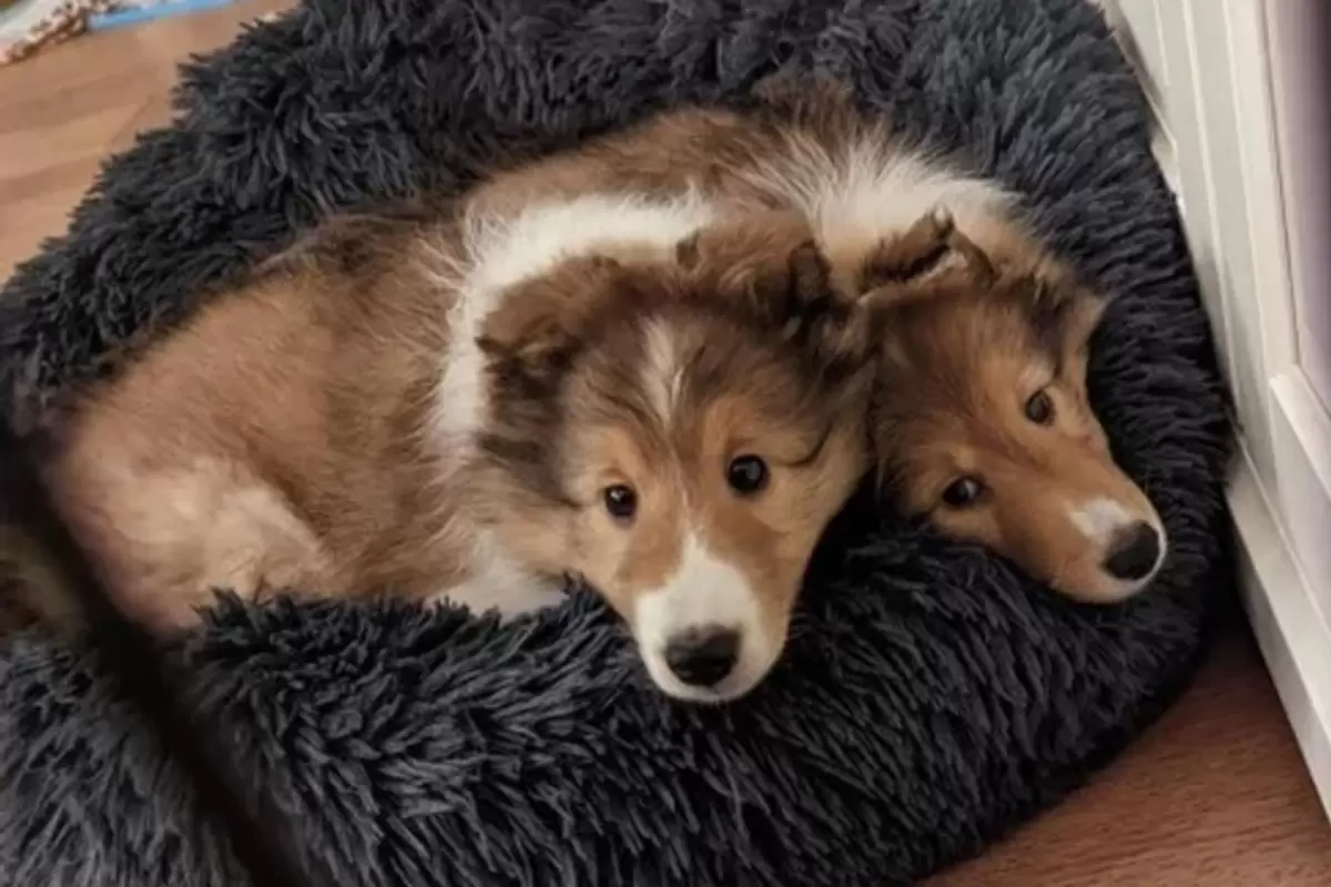 Фотографии, которые заставят вас переосмыслить обыденность