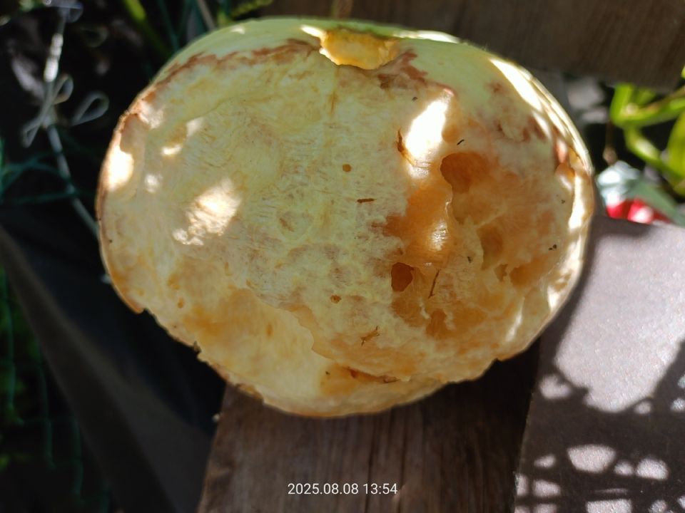 ������ �� �������: ����������� ����� �� ����� � �������