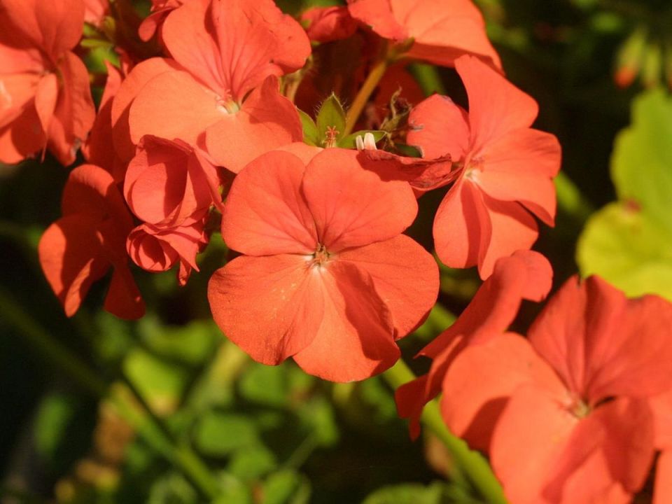 �������� ������: ������� ����� ��� ������