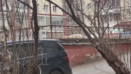 � ������ �������� ����� ������