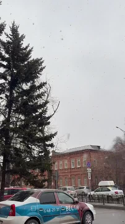 ������ ����