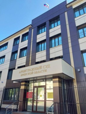 Брянские предприниматели попались на контрафакте: подделки Domestos и Clear под угрозой