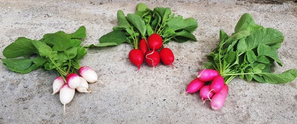 ��� ��������� ������ ������ ������ � ������ � �������