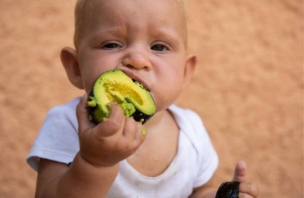 Авокадо и жизнь: как терпение может изменить всё