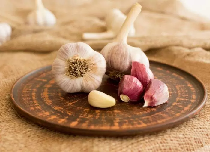 Настоящая защита от насекомых: натуральные методы