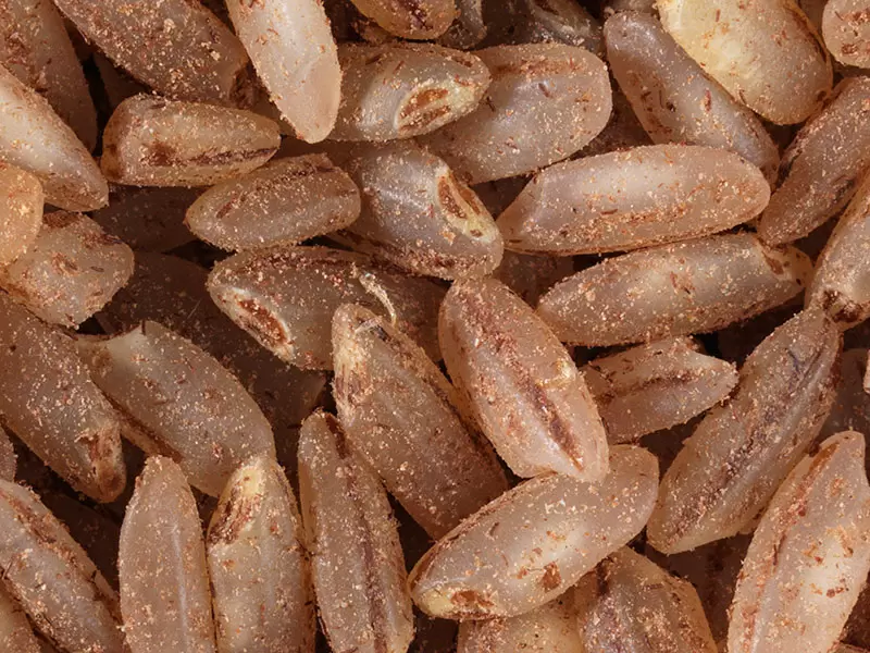 Как выбрать рис для плова и понять его особенности в ближайшем магазине