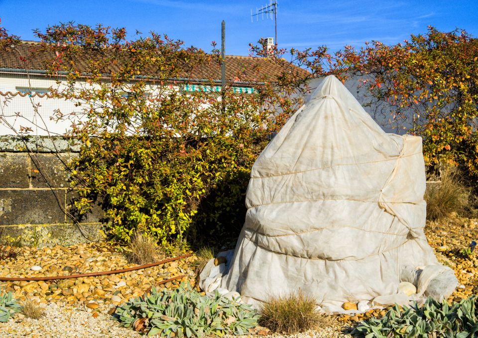 ������ ������ ��������: ������ � ������������