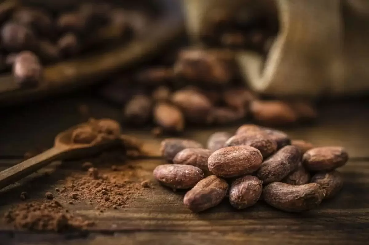 Mars запускает революцию в производстве какао с помощью генной инженерии