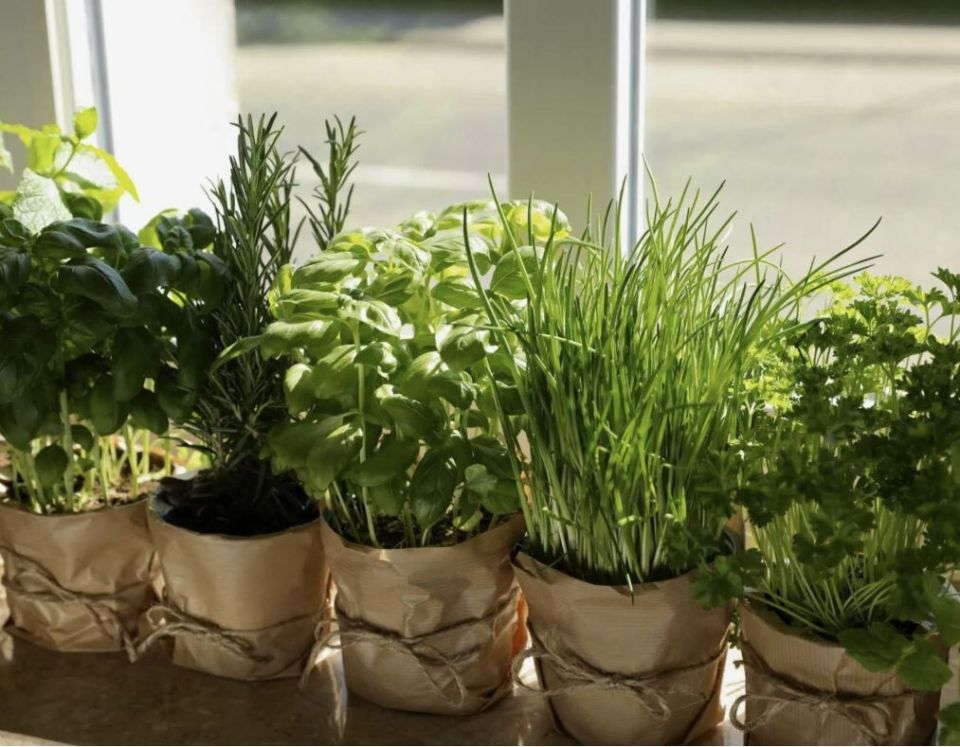 ������ ����������� ������: �� ������ �� �����������