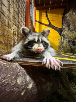 ���� �� ���� (��������, � �� ���� ����): �������� ��������, ��� ����� � ��������� ��������