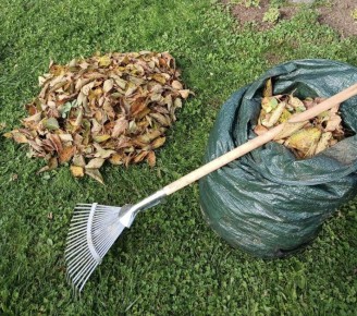 ��� ����������� ����� � ����: ������ ���� ��� �������� ����� ������