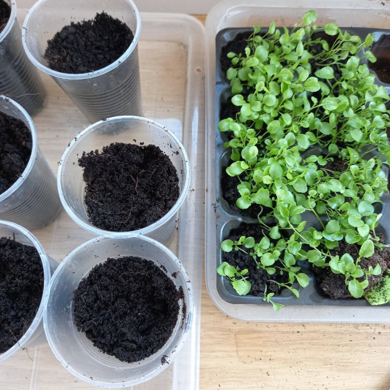 ������ ������ ��������� ������ ������ ����� �� 15 �����