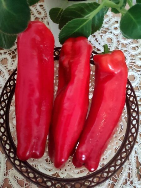 ����� �������: ������� ������� ������ � �������������� ��������