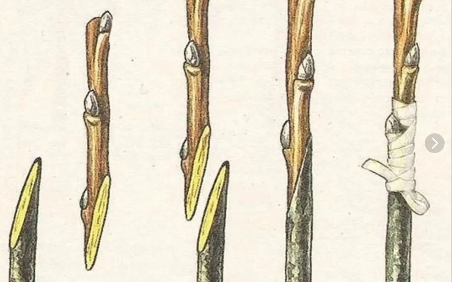 ����� �������� �� ����� � ���������� ��������: ������� �������� �����������