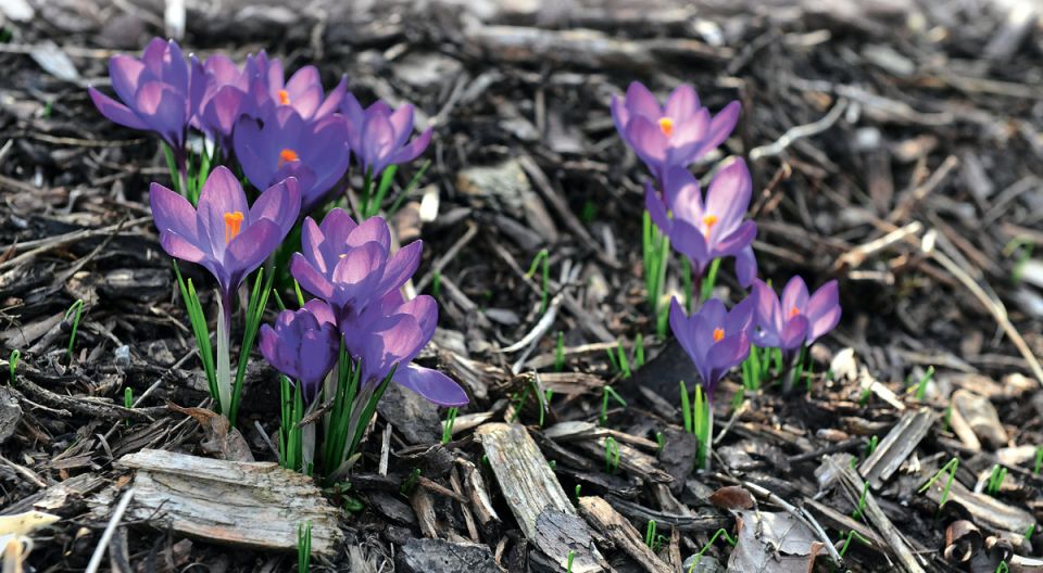 ������� � ����� ����: ������� ��������� �����������